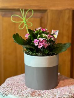 a potted plant with pink flowers on a table