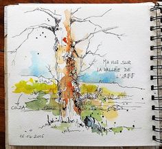 an open notebook with watercolor and ink drawings on the cover, featuring a tree