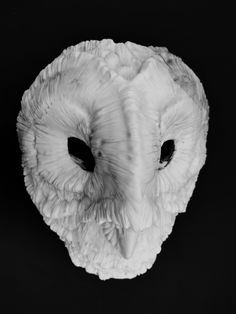 black and white photograph of an owl's head with its eyes open on a dark background