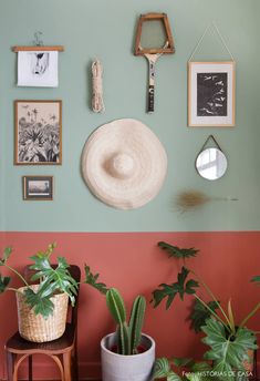 there are many plants and pictures on the wall in this room, including a hat