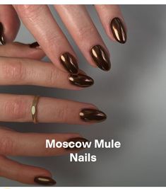 Mocha Brown Chrome Nails, Dark Chocolate Chrome Nails, Multi Brown Nails, Short Oval Chrome Nails, Dark Brown Nails With Chrome, Caramel Chrome Nails, Aura Nails Brown, Dark Brown Chrome Nails, Bronze Chrome Nails