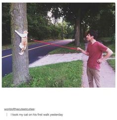 a man holding a dog on a red leash next to a tree in the park