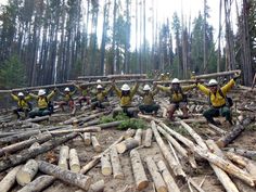 a group of men in yellow jackets and white hats are sitting on the ground surrounded by logs