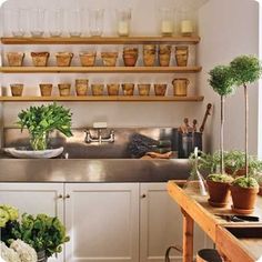 the kitchen is clean and ready to be used as a place for potted plants