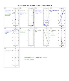 the user's instructions for an interactive level test, with diagrams on each side