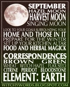 a poster with the words in different languages on it and an image of a full moon