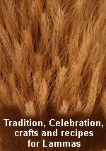 an animal fur with the words celebration, crafts and recipes for llamas