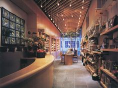 the inside of a store filled with lots of shelves full of plants and pots on top of them