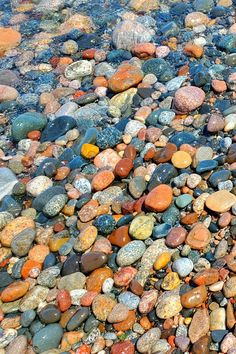 there are many rocks on the ground together