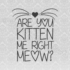 a black and white image with the words are you kitten me right meow?