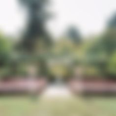 blurry image of trees and grass in the background with only one person standing or sitting