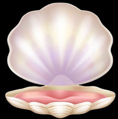 an image of a shell with pink and white colors