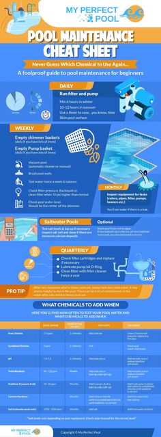 Swimming Pool Maintenance Schedule and Tasks for Beginners Pool Care For Beginners, Pool Maintenance Schedule, Cloudy Pool Water, Gardening Infographic, Clean Pool, Pool Oasis, Swimming Pool Equipment, Swimming Pool Maintenance, Beach Entry Pool