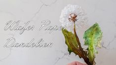 a dandelion is being held up in front of a white background with the words,