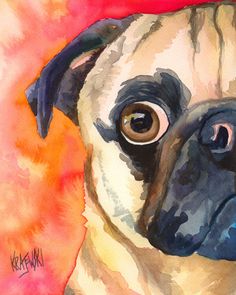 a watercolor painting of a pug dog looking at the camera with an orange background