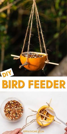 half of an orange peel filled with bird seed hanging in a tree Easy Diy Bird Feeder, Diy Apple, Orange Peels, Orange Bird