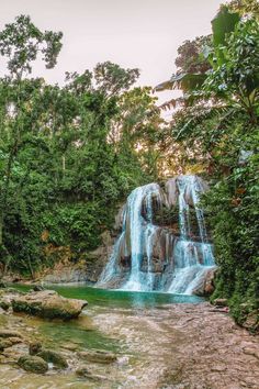 a small waterfall surrounded by trees and rocks