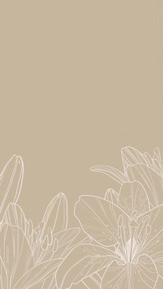 an image of flowers on a beige background