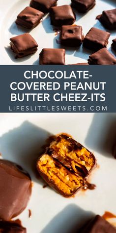 chocolate covered peanut butter cheez - it's on a white plate with the title