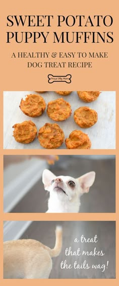 sweet potato puppy muffins, a healthy and easy to make dog treat recipe