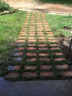 a brick walkway with grass growing on it