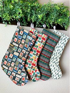 three christmas stockings hanging on the wall next to a potted plant with green leaves