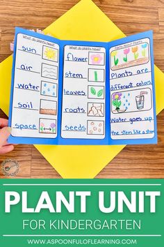 A tri-fold plant brochure Plant Activities For Kindergarten, Plant Life Cycle Project, Plant Unit Kindergarten, Garden Unit Study, Life Cycles Preschool, Plants Worksheets