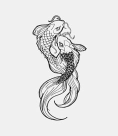 a black and white drawing of a fish with its tail curled up to the side