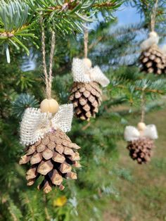 pine cones are hanging from the branches of a tree with angel decorations on them,