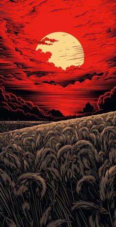 a red sunset over a wheat field with clouds and the sun in the sky above it