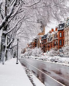 a snowy street lined with red brick buildings and lots of snow on the ground in front of trees