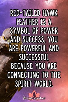 Red-tailed hawk feather meaning Hawk Feather Meaning, Red Tail Hawk Feathers, Hawk Feather, Red Tail Hawk, Feather Meaning, Hawk Feathers, Dragon Flys