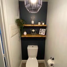 a white toilet sitting inside of a bathroom next to a wooden shelf filled with plants