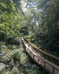 a person walking across a wooden bridge over a river surrounded by trees and bushes on a sunny day