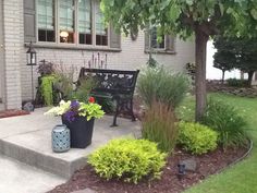 a bench sitting in the middle of a garden