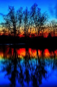 trees are reflected in the water at sunset