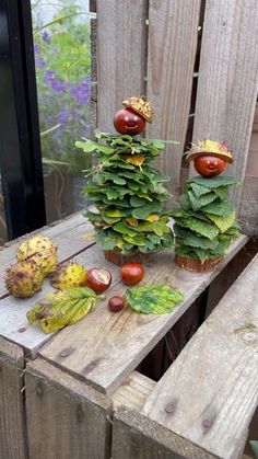 there are many fruits and vegetables sitting on the bench outside in front of the window