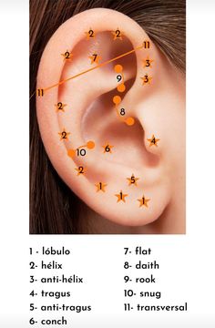 an ear is shown with orange dots and numbers on the outer part of its ear