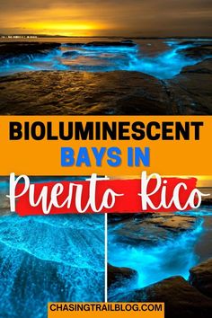 Three photos of bio bays, an orange rectangle, and red rectangle with the words "Bioluminescent bays in Puerto Rico" and "chasingtrailblog.com" Puerto Rico Bucket List, Places To Visit In Puerto Rico, Bio Bay Puerto Rico, Things To Do In Puerto Rico, Best Places To Visit In Puerto Rico, Jayuya Puerto Rico, Puerto Rico Travel Guide, Bio Luminescence Puerto Rico