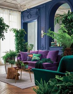 a living room filled with lots of green plants and purple couches in front of windows