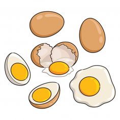 eggs and an egg shell on a white background