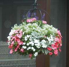 a hanging basket filled with pink and white flowers