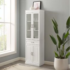 a tall white cabinet with glass doors in a room next to a potted plant