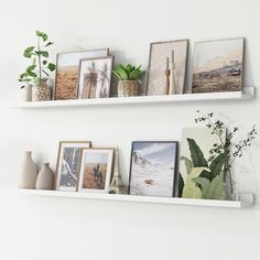 two white shelves with pictures and plants on them