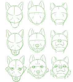 how to draw an animal's head with different angles and shapes for each face