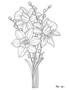 a bouquet of flowers in a vase on a white background royalty illustration for coloring books