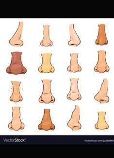 different types of feet and ankles on white background royalty illustration