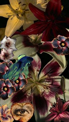 an arrangement of colorful flowers and leaves on a black background, with one blue bird in the center