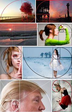 a series of photoshopped images with different shapes and sizes, including an image of a woman's face