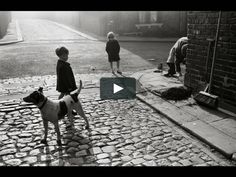 two children and a dog on a cobblestone street